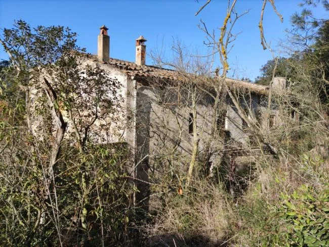 Edificio protegido en Vallromanes, 46.861 m²
