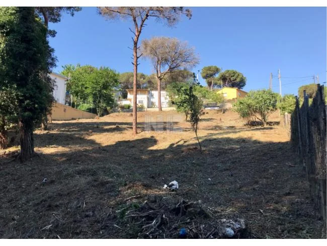 Gran parcela con acceso a dos calles