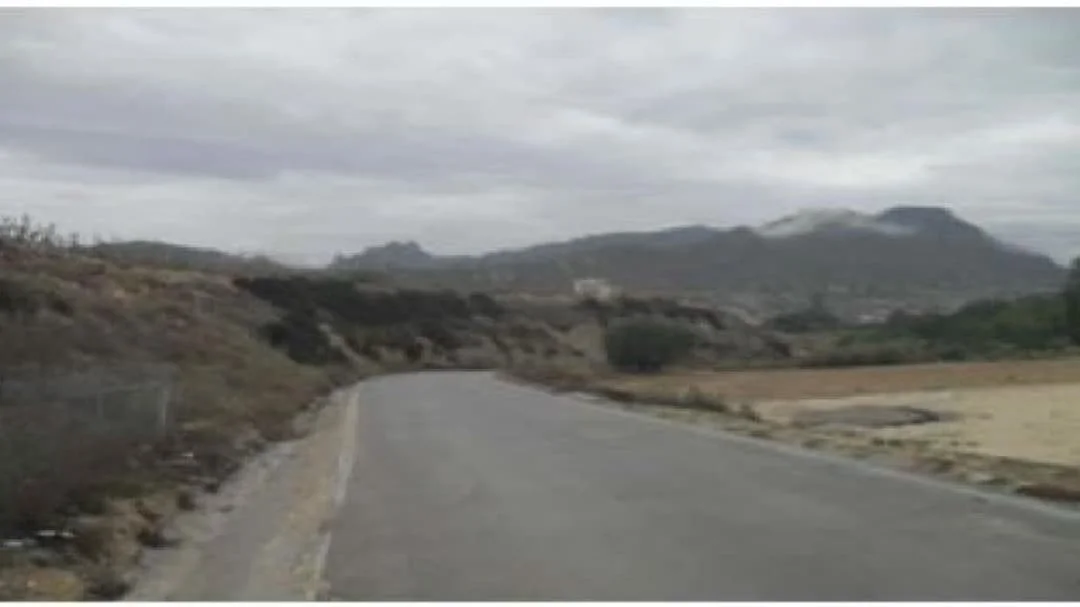 Large Ricote development land plot