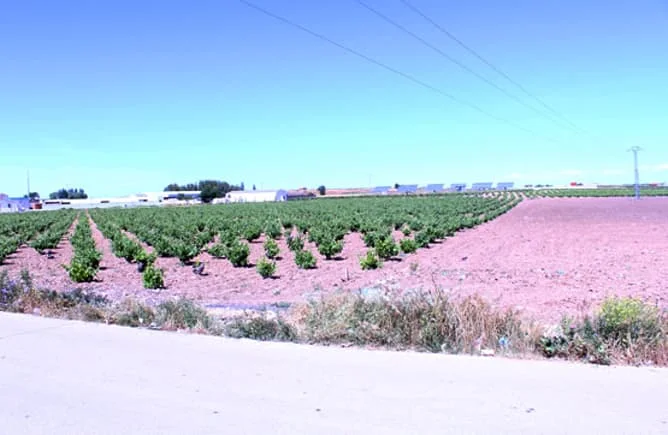 Parcela copropietaria de 200 m² en Mesas