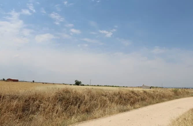 Participación de terreno en Casar de Escalona