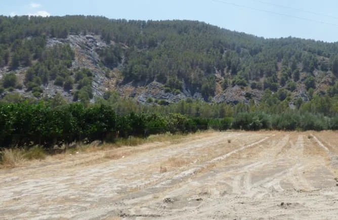 Co-owned Purchena plot, 5,032 m²