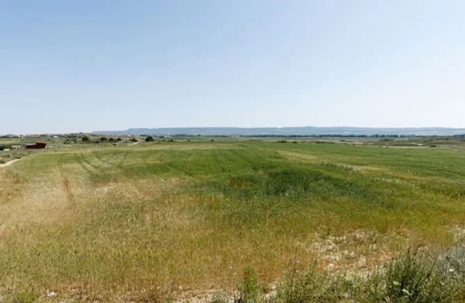 Co-owned Erla land plot, 5,250 m²