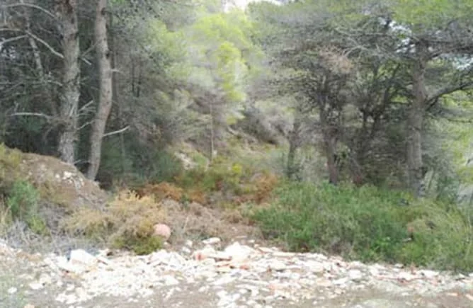 700 m² land in Almiserà