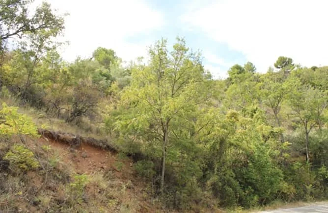 Parcela en copropiedad en Valfermoso, 6.848 m²