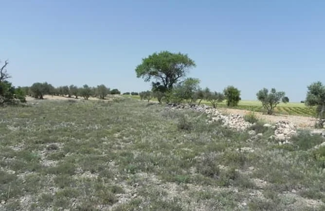 Parcela copropiedad de 1.384 m² en Cuenca