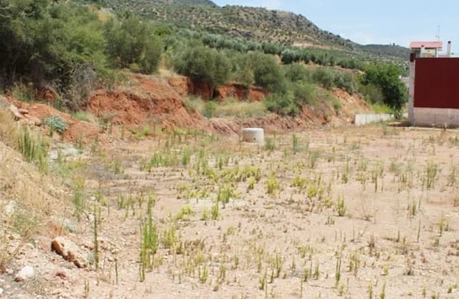 Terreno en copropiedad en Puerta de Segura