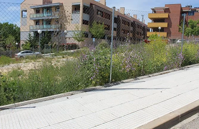 Central Cobeña plot, 12.5% share