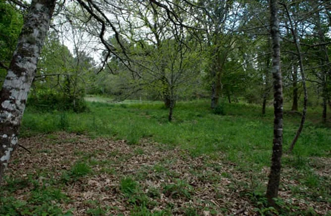 Participación de terreno en Sarreaus, parcela de 1.458 m²