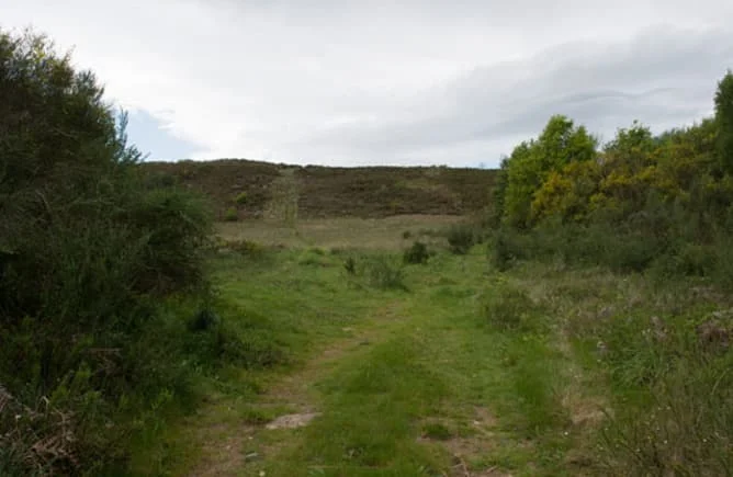 Parcela en copropiedad en Sarreaus, 5.790 m²