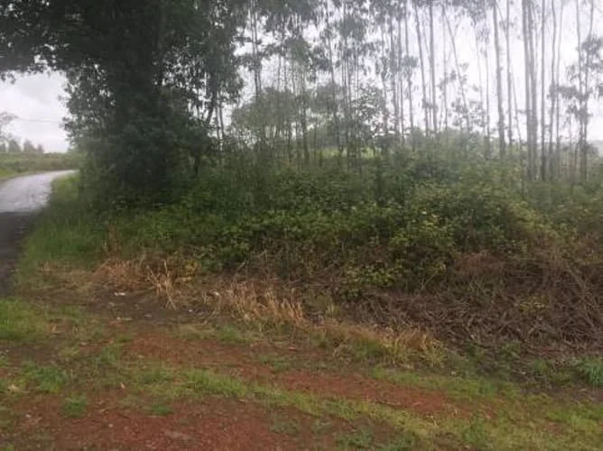 Small plot near Zas with views