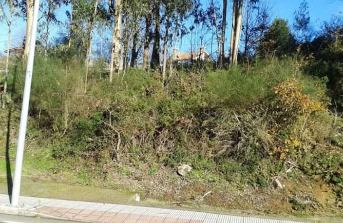 Parcela rústica cerca de Vigo, 743 m²