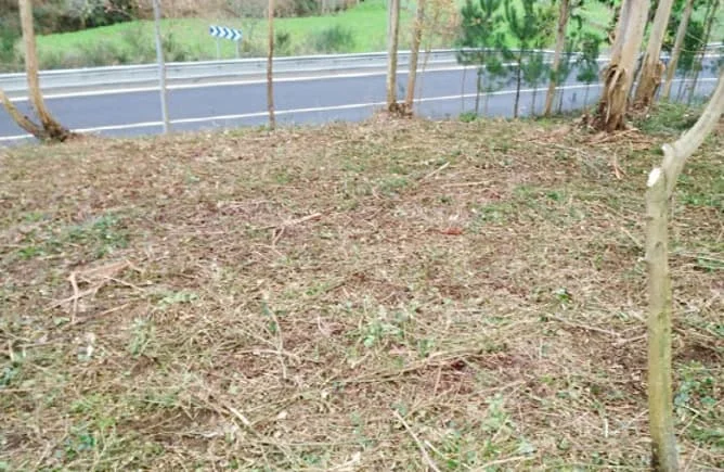 Rural plot in Vigo, 367 m²