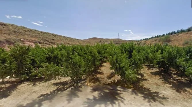 Gran parcela en Aitona de 54.500 m²