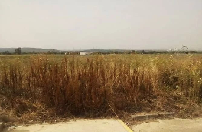 Parcela de 765 m² en copropiedad en Carpio