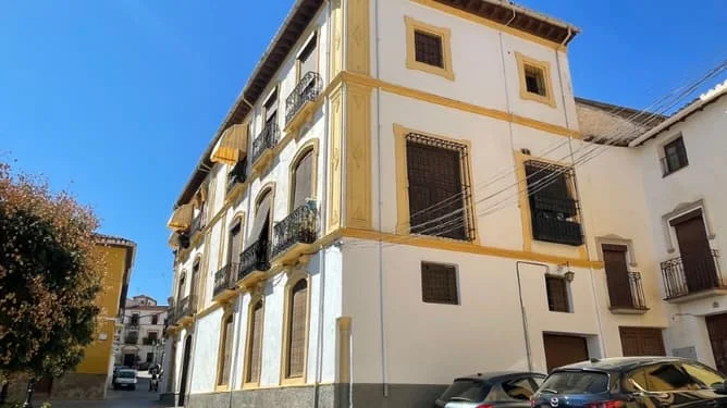Occupied auction flat in central Guadix
