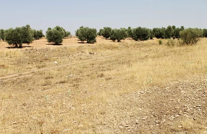 Parcela en Almadén de 444 m²