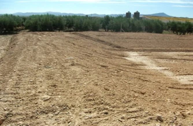 Co-owned plot near Fuente Álamo