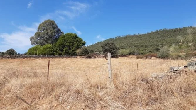 50% share of Carboneras plot