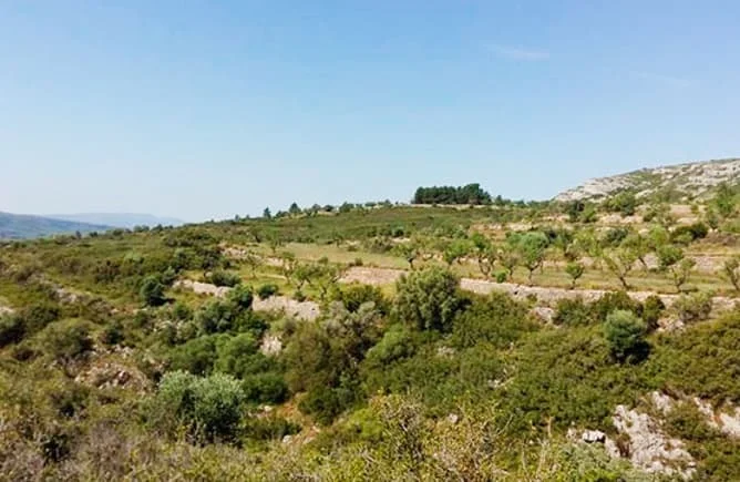 Rustic plot listing labelled as house