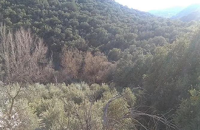 Gran parcela en Íllora con acceso por carretera