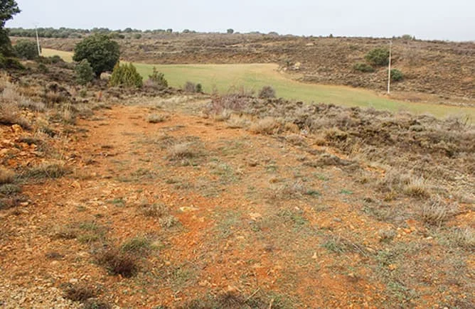 Large rural plot in Tordellego