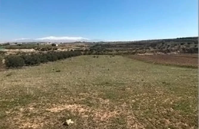 Large rural agricultural plot in Chimeneas