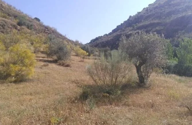 Terreno rústico junto al Albaicín, 14.569 m²