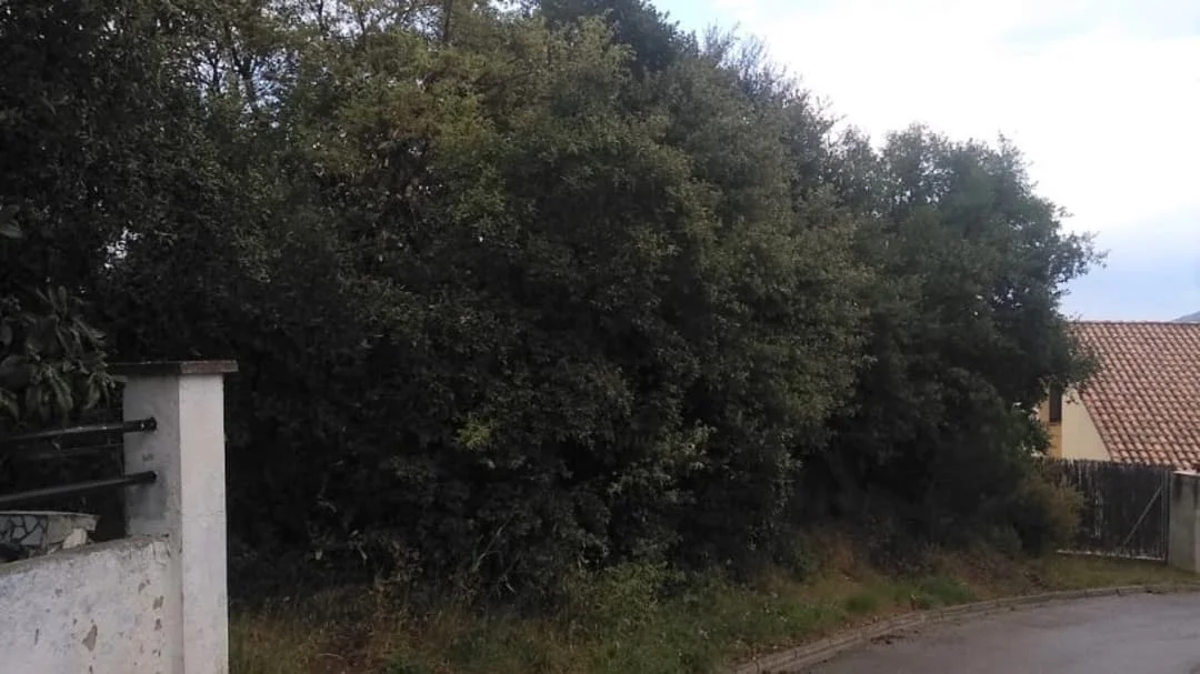 Developable plot in Montseny, 499 m²