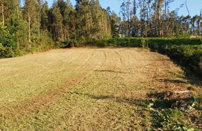 Rustic plot near Bergondo centre