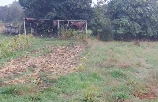 Parcela en copropiedad en San Xusto