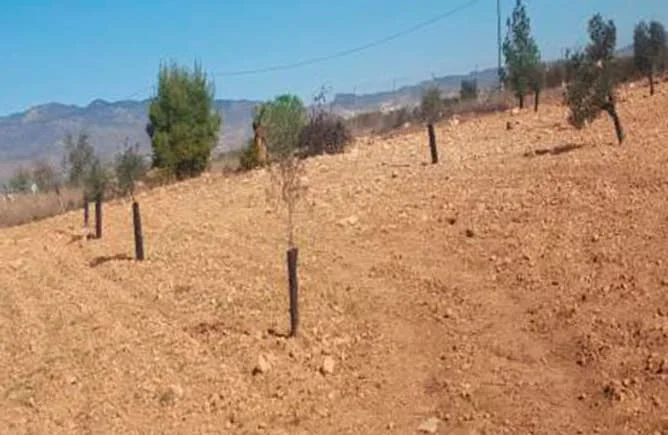 Cañada Seca land share, 5,070 m²
