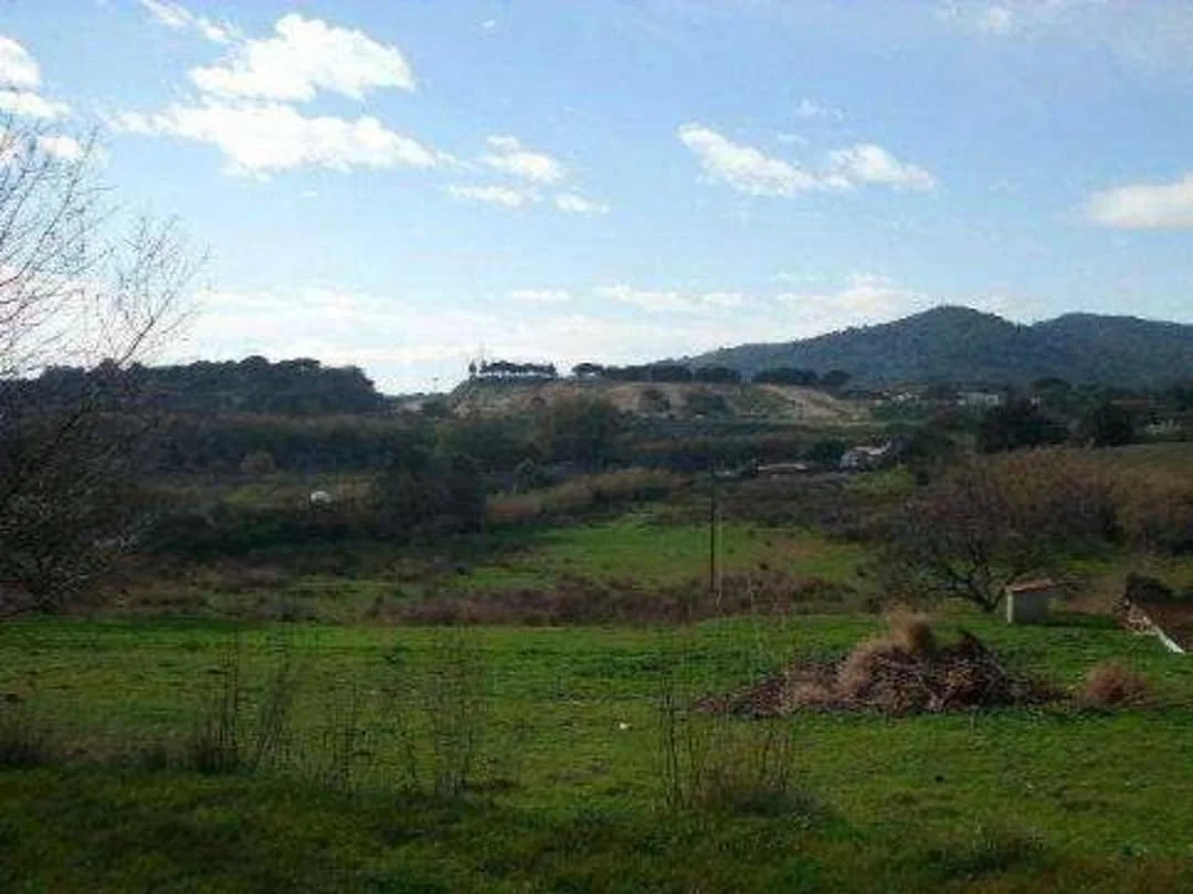 Developable Palafolls plot with planning upside