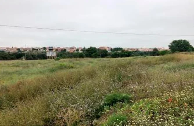 Terreno residencial para desarrollo en Zamora