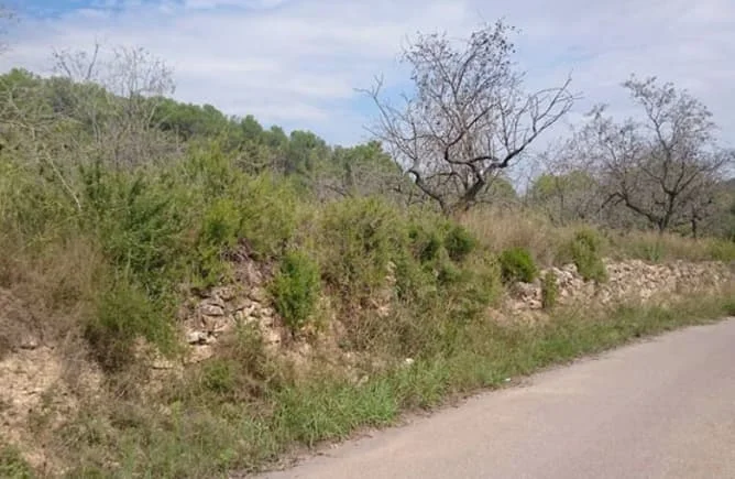 Oportunidad de cuota de terreno céntrico