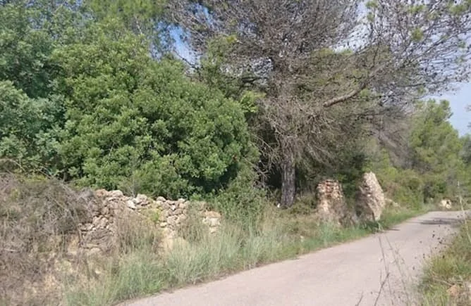 Cuota de terreno en Artana, parcela de 6.706 m²