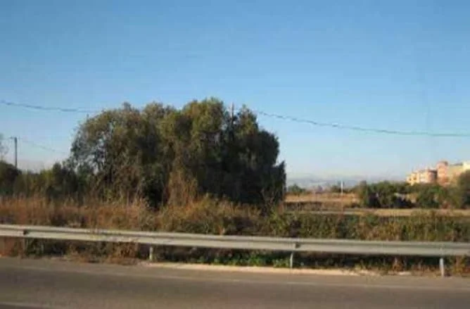 Gran terreno residencial urbanizable en Cambrils