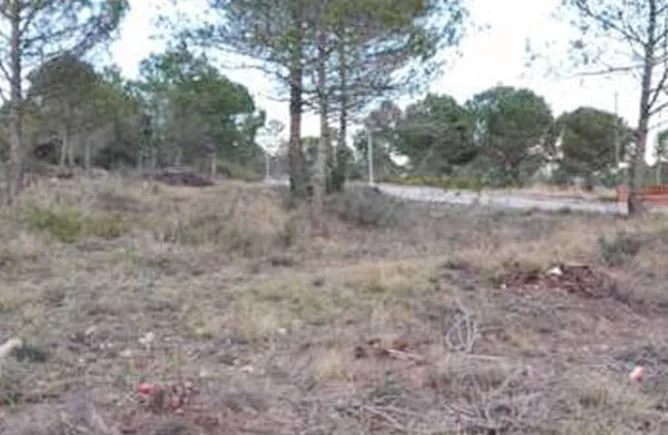 Participación en parcela urbana en La Ponderosa