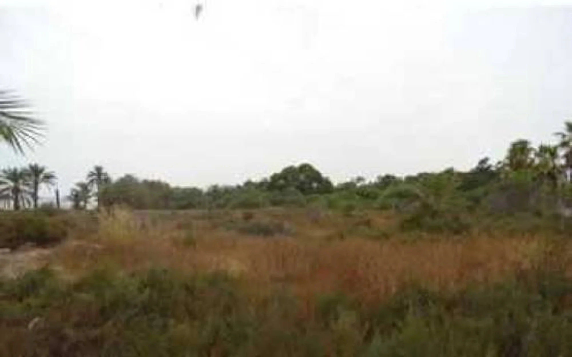 Developable residential land in Murcia