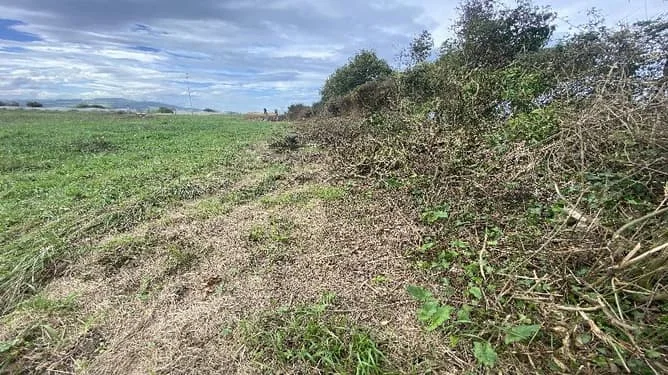 Camplego investment plot, 1,050 m²