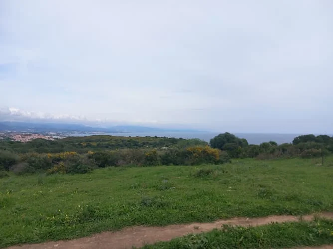 Terreno de desarrollo en Manilva, 244489 m²