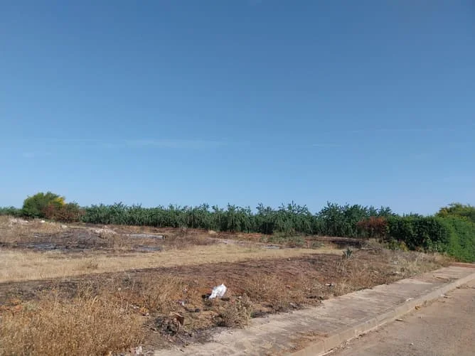 Developable Espartinas land for 108 homes