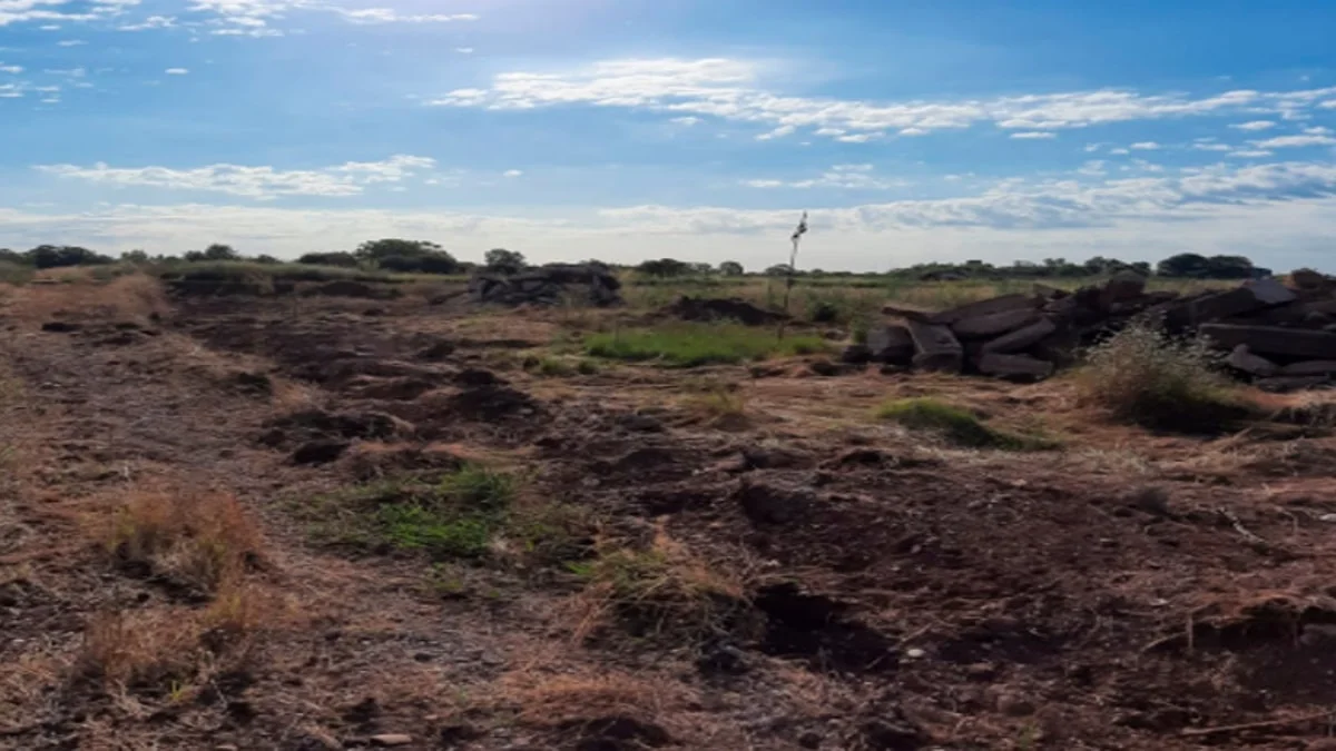 Terreno residencial urbanizable en Borriana