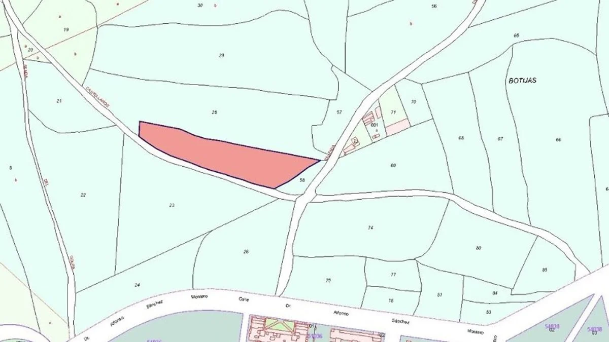 Developable Salamanca plot near city