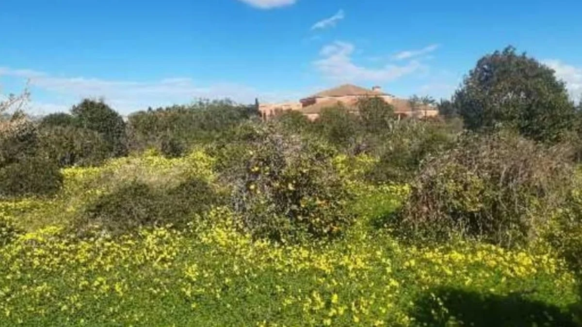 Developable residential land in Pobla de Farnals