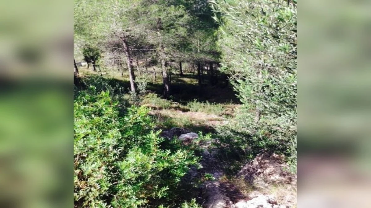 Solar urbano en Can Gordei, 471 m²