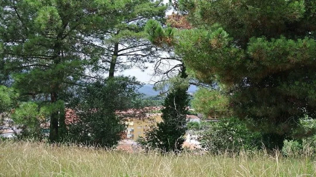 Terreno urbanizable cerca de Santa Coloma
