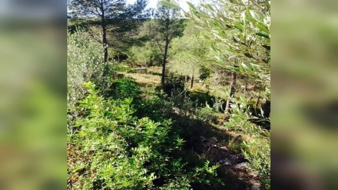 Urban plot in Can Gordei
