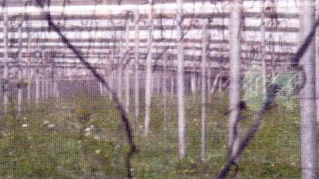 Gran finca agrícola rústica cerca de Ugíjar