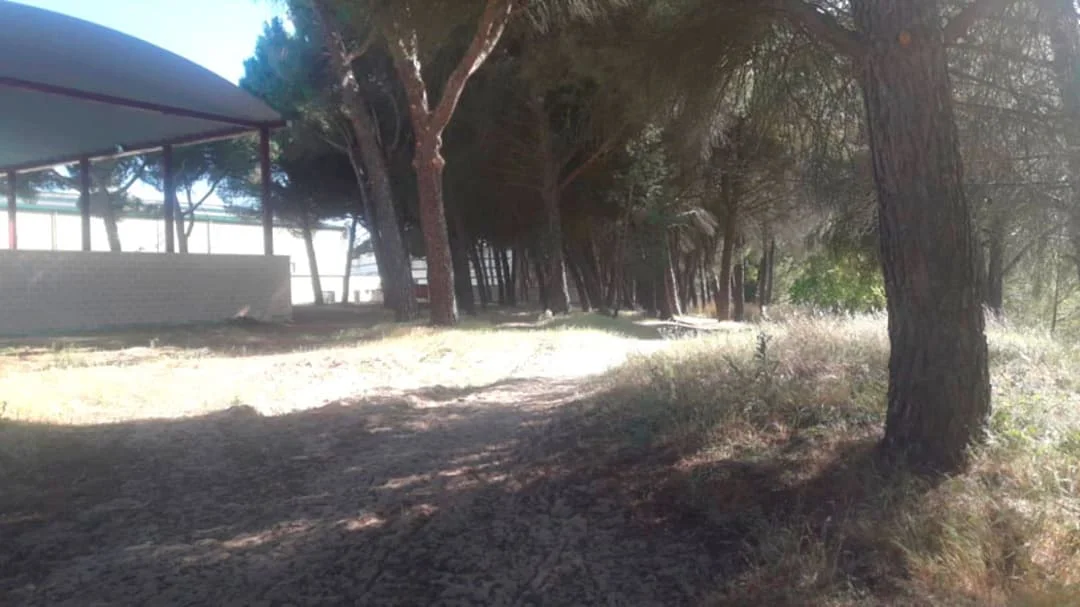 Parcela rústica de inversión de 6.800 m²